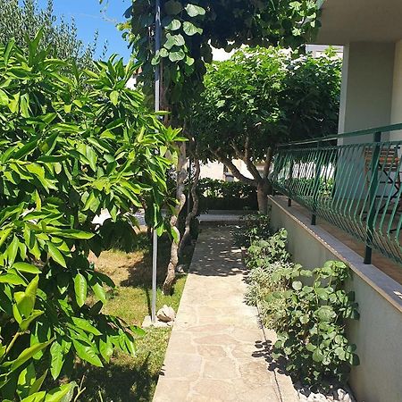 זאדאר Apartman Maja מראה חיצוני תמונה